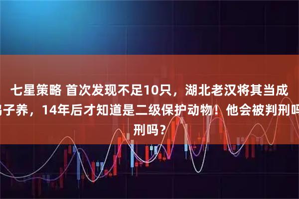 七星策略 首次发现不足10只，湖北老汉将其当成鸭子养，14年后才知道是二级保护动物！他会被判刑吗？