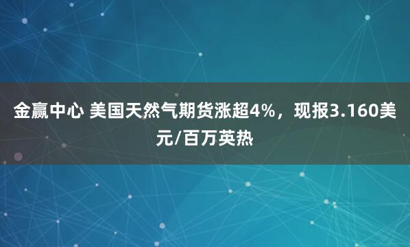 金赢中心 美国天然气期货涨超4%，现报3.160美元/百万英热