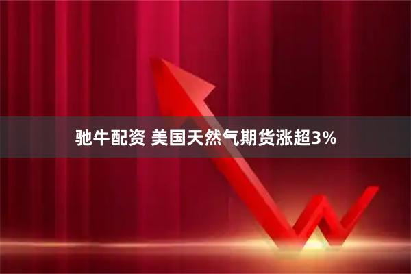 驰牛配资 美国天然气期货涨超3%